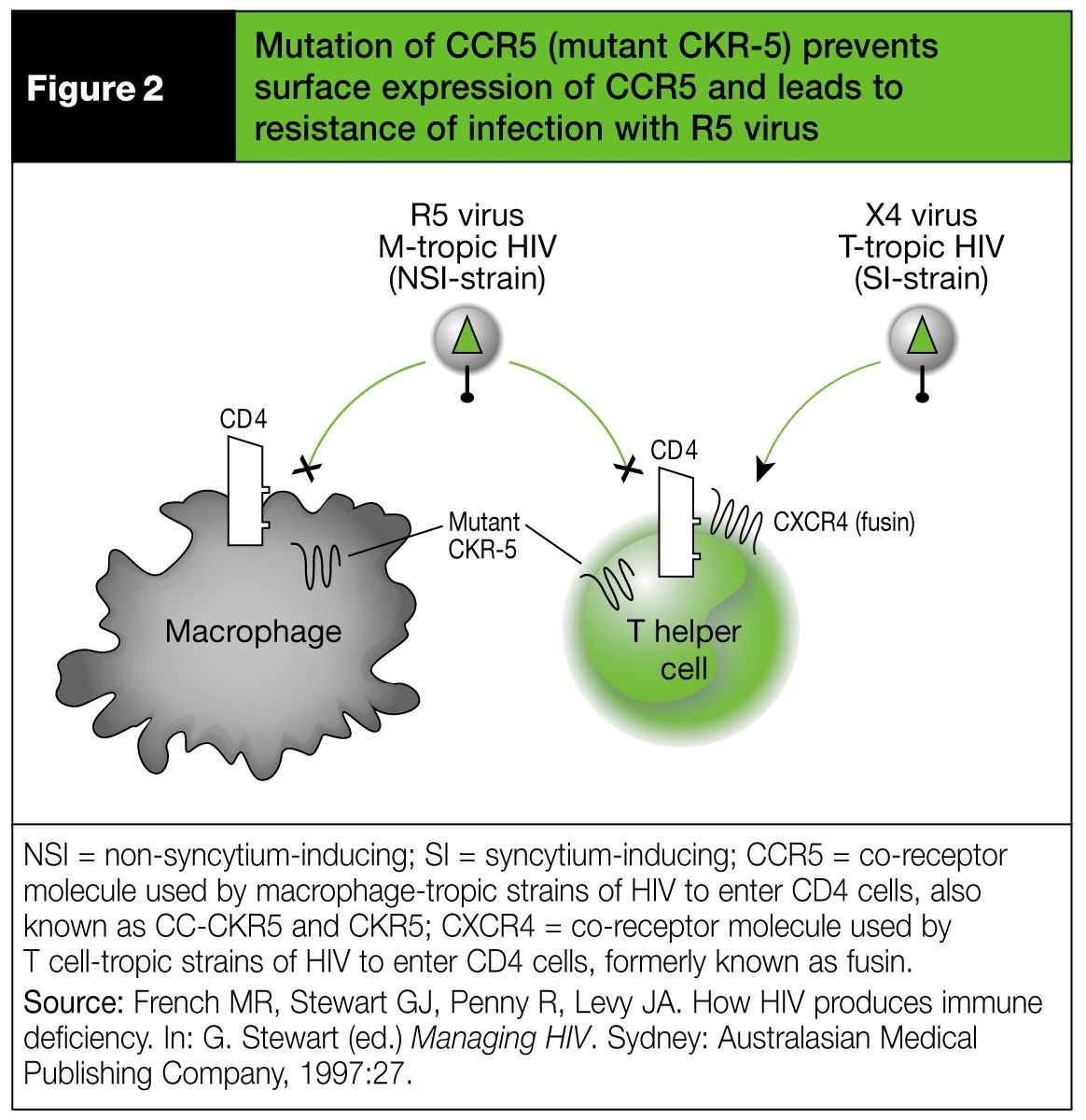 Mutation of CCR5